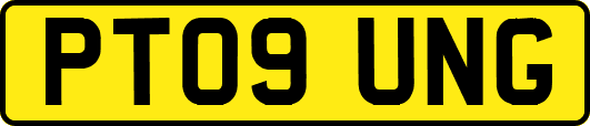 PT09UNG