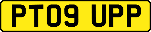 PT09UPP