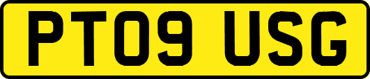 PT09USG