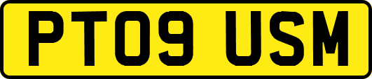 PT09USM