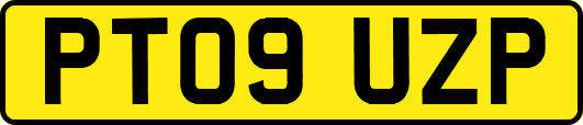 PT09UZP
