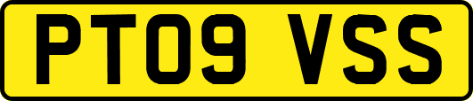 PT09VSS