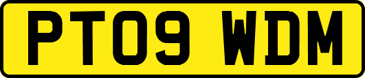 PT09WDM