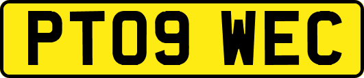 PT09WEC