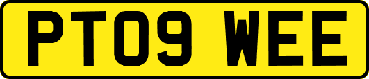 PT09WEE