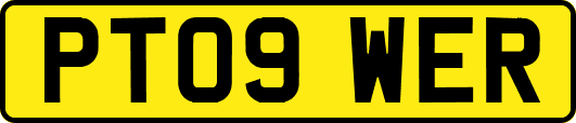 PT09WER