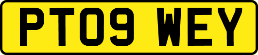 PT09WEY