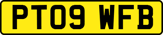 PT09WFB