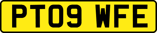 PT09WFE
