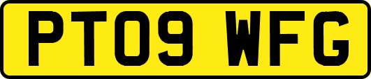 PT09WFG