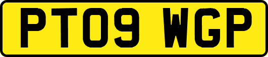 PT09WGP