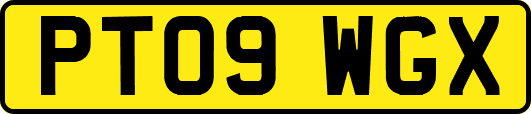 PT09WGX