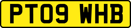 PT09WHB