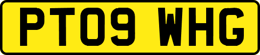 PT09WHG
