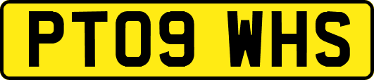 PT09WHS