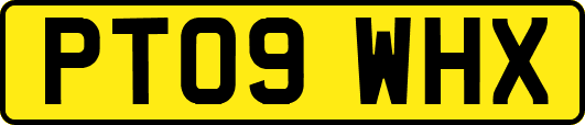 PT09WHX