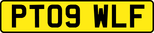PT09WLF