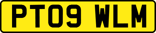 PT09WLM