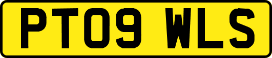 PT09WLS