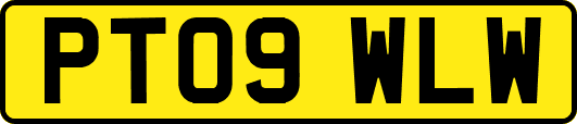 PT09WLW