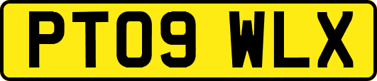 PT09WLX