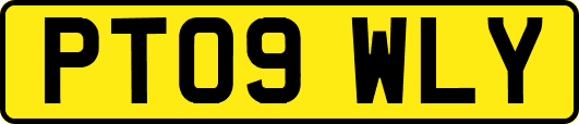 PT09WLY