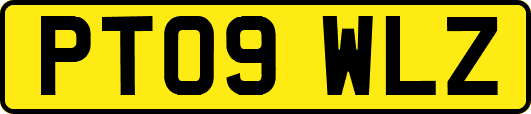 PT09WLZ