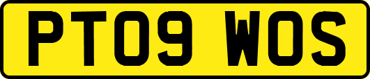 PT09WOS