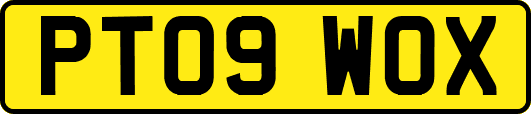 PT09WOX