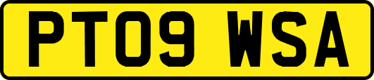 PT09WSA