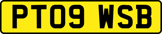 PT09WSB