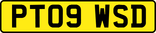 PT09WSD