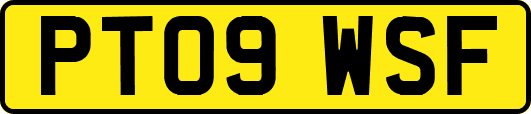 PT09WSF