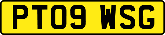 PT09WSG