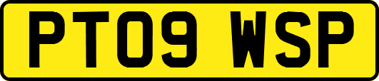 PT09WSP