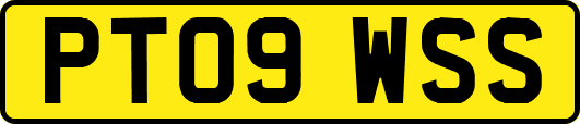 PT09WSS