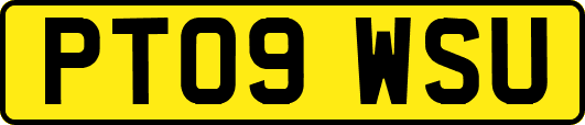 PT09WSU