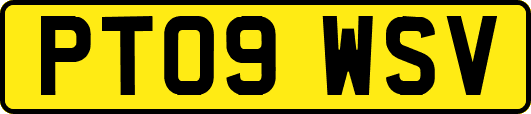 PT09WSV