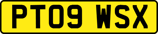 PT09WSX