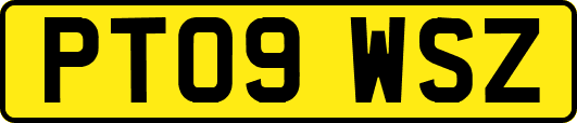 PT09WSZ