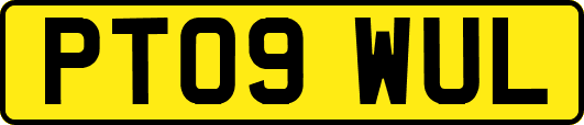 PT09WUL