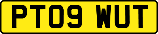 PT09WUT