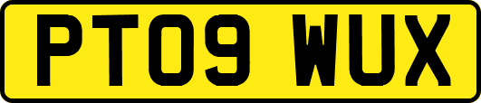 PT09WUX