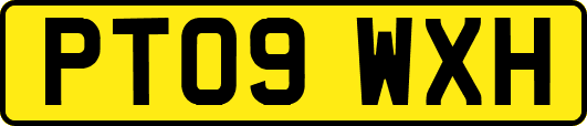 PT09WXH