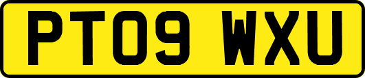 PT09WXU