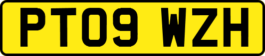 PT09WZH