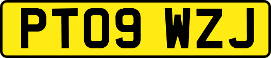 PT09WZJ