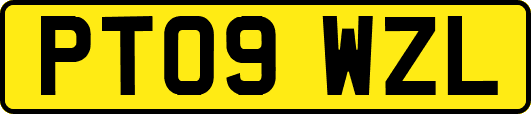 PT09WZL