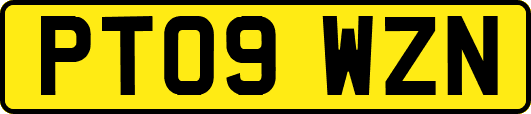 PT09WZN
