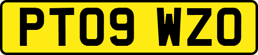PT09WZO